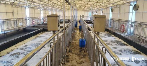 创新治理模式 东莞首创零散工业废水集中处理助力绿色转型
