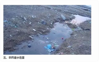 工业废水的危害