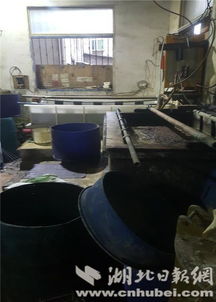 黄陂工业废水偷排事件敲响警钟 严惩暗藏偷排的高壁司法论通漏？破